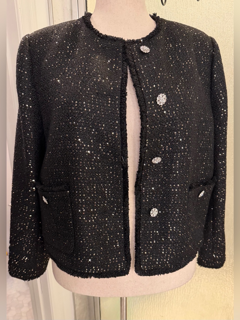 Ann Taylor NWT Black Silver Sequin Tweed Jacket 16P $90